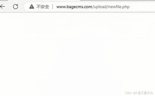 cms网站系统分析 74cms bagecms yccms 漏洞测试